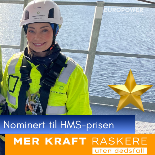 Intervjuer - Mer kraft raskere styringsgruppa -1