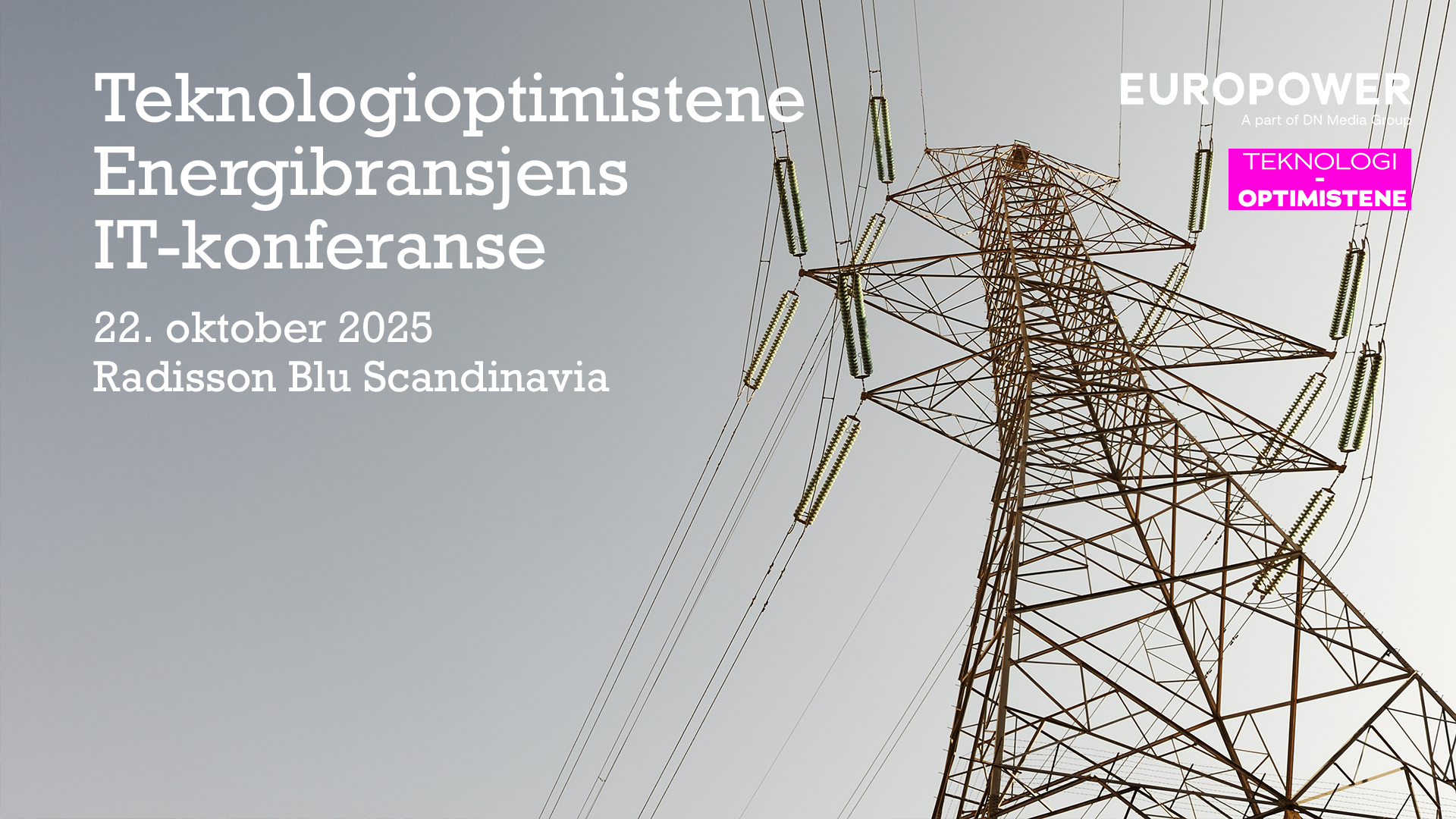 Europower Partner - Rosa