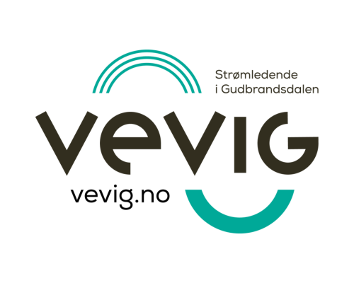 vevig logo 500x400